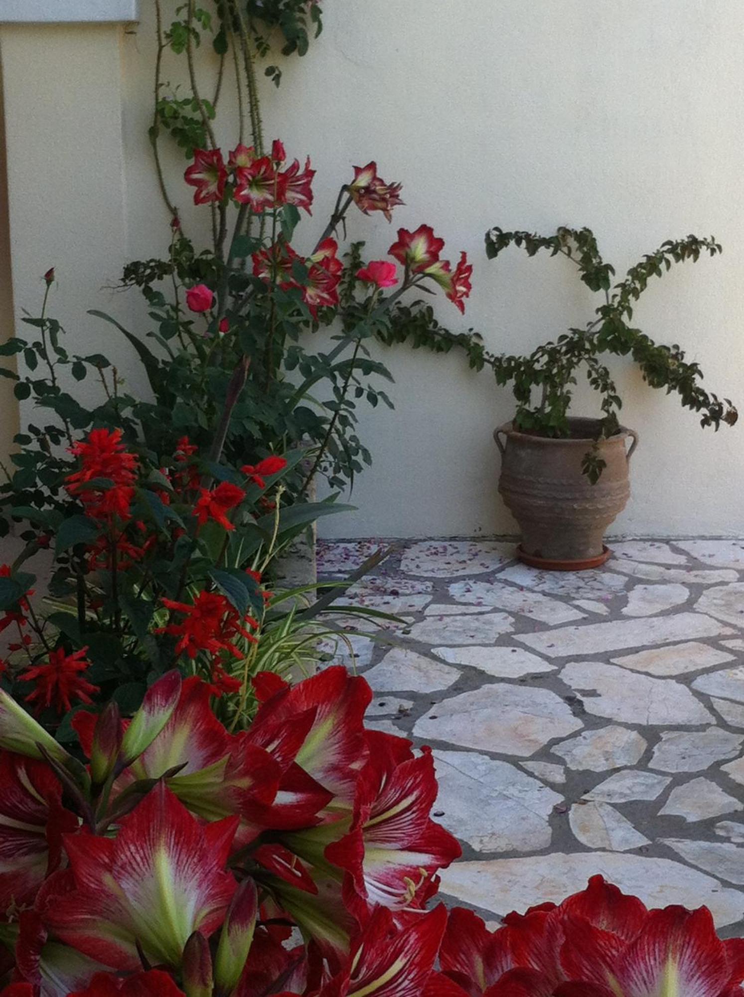 Appartement Angelina Roda (Corfu)